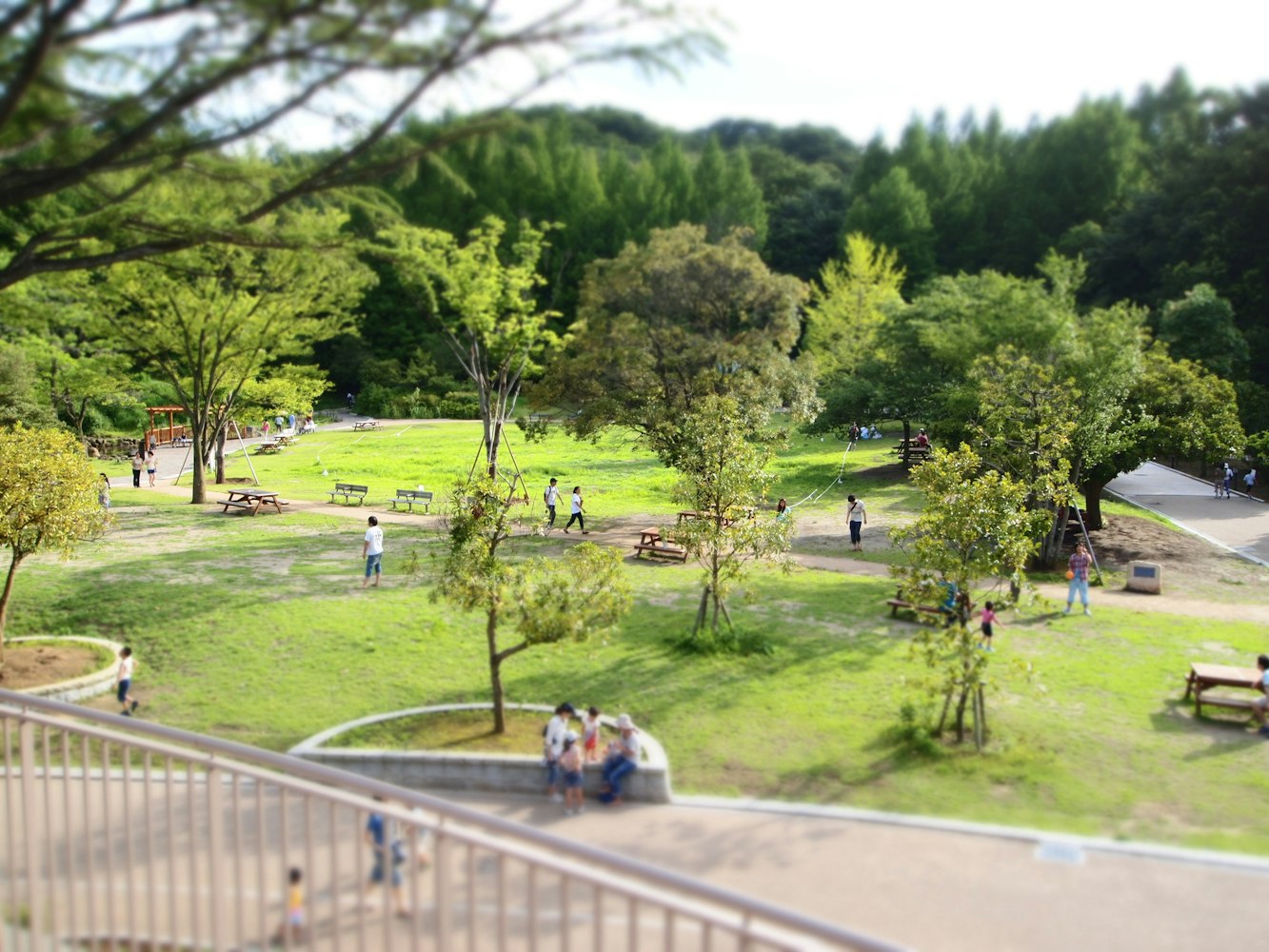 Ikuta Green Area