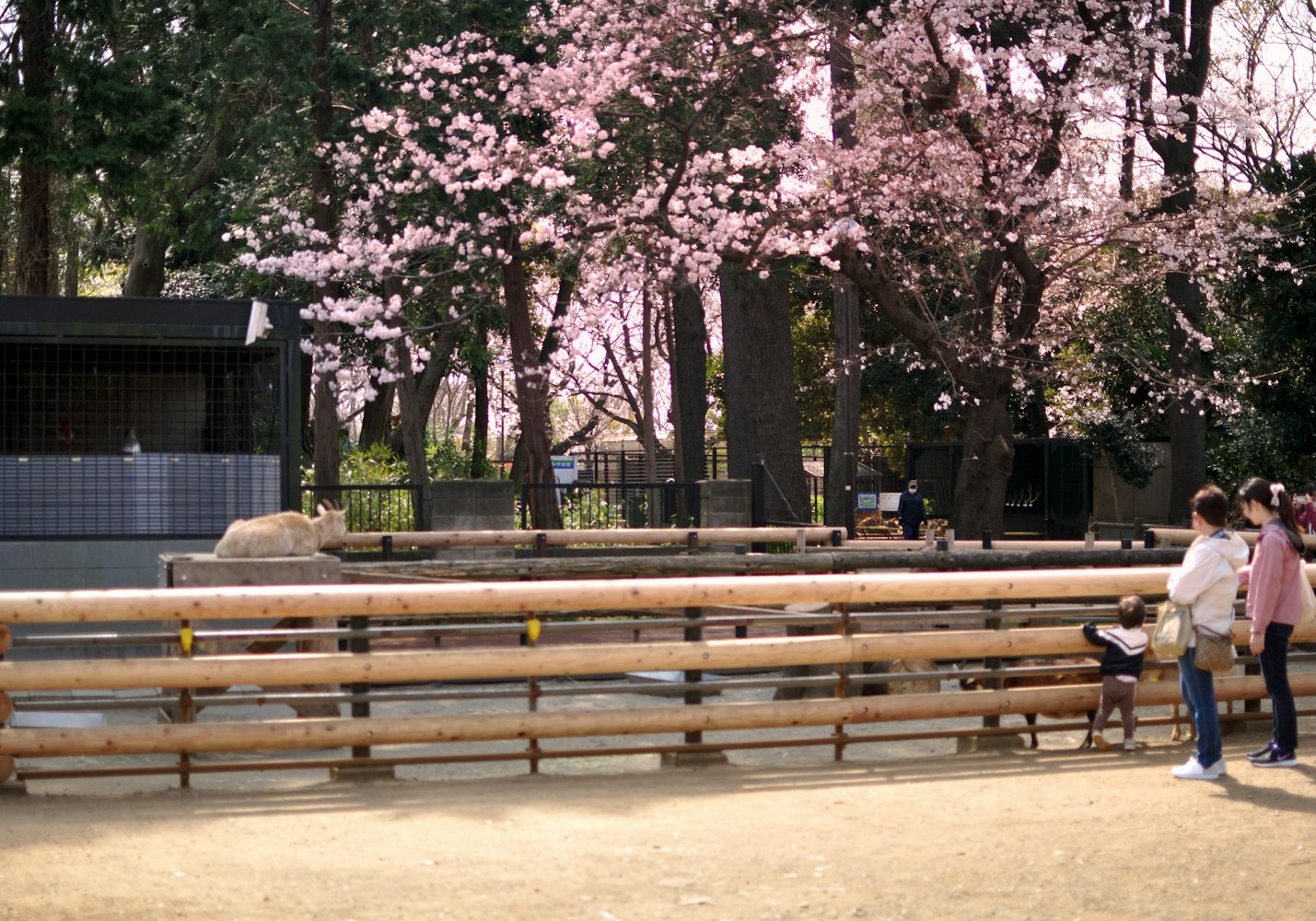 Yumemigasaki Zoological Park
