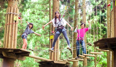 Forest Adventure Beppu