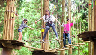 Forest Adventure Beppu