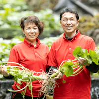 Fujii Wasabi Garden Fujii Wasabi Garden