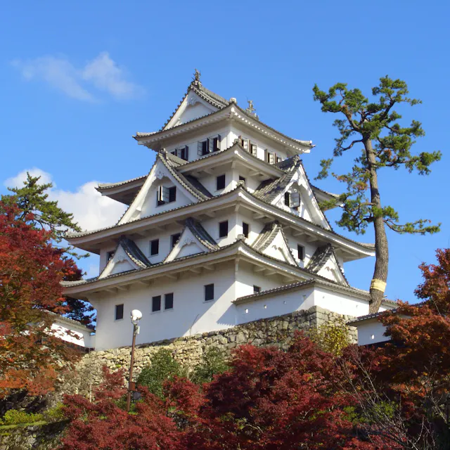 Gujo Hachiman Castle Gujo Hachiman Castle