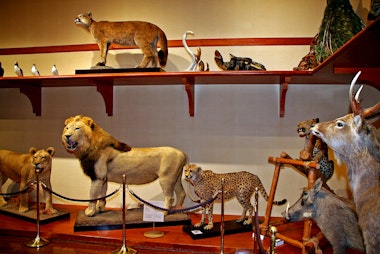 Gunma Museum of Natural History