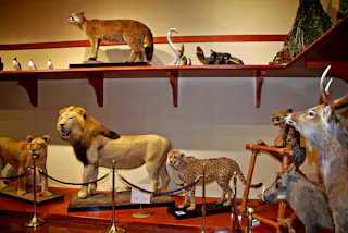 Gunma Museum of Natural History