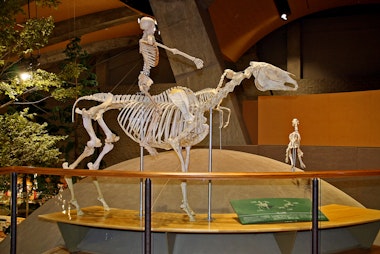 Gunma Museum of Natural History