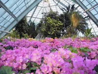 Hakodate Tropical Botanical Garden