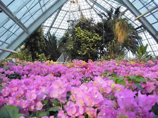 Hakodate Tropical Botanical Garden