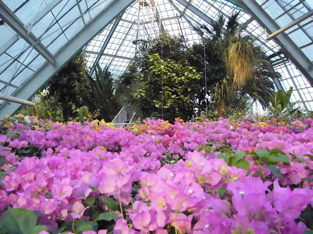 Hakodate Tropical Botanical Garden