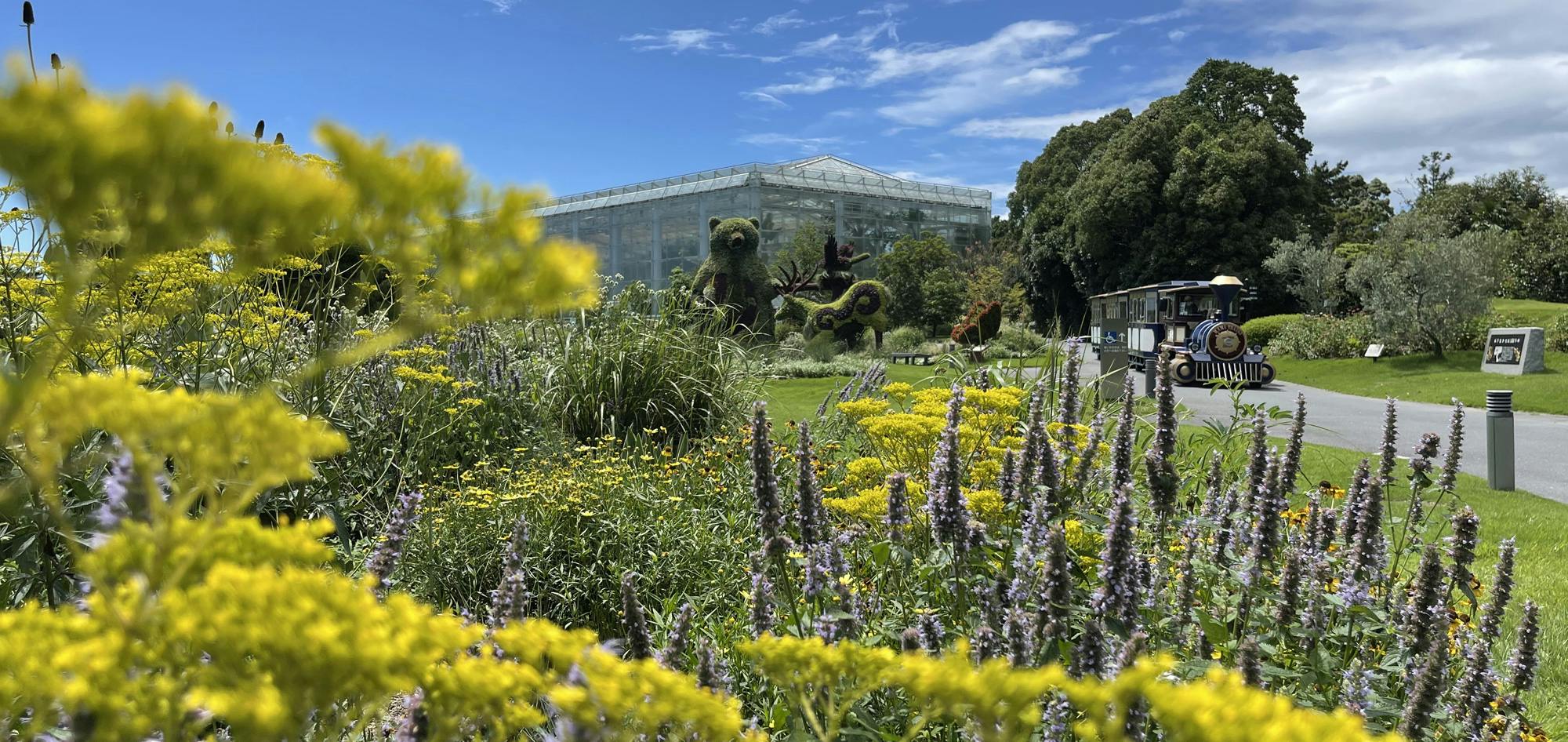 Hamamatsu Flower Park