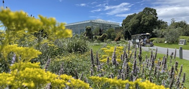 Hamamatsu Flower Park