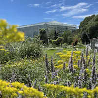 Hamamatsu Flower Park Hamamatsu Flower Park