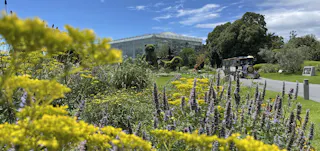 Hamamatsu Flower Park