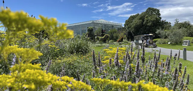 Hamamatsu Flower Park