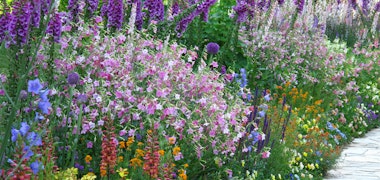 Hamamatsu Flower Park