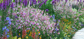 Hamamatsu Flower Park