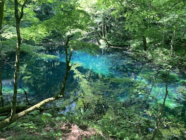 Aone Shirakami Twelve Lakes