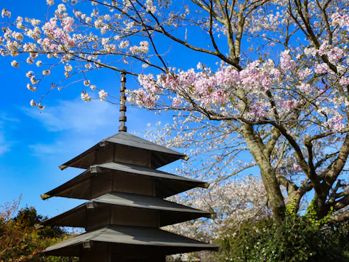 Darumizu Park Darumizu Park