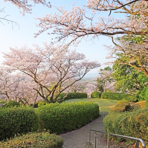 Hosshin Park Hosshin Park