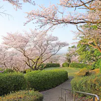 Hosshin Park Hosshin Park