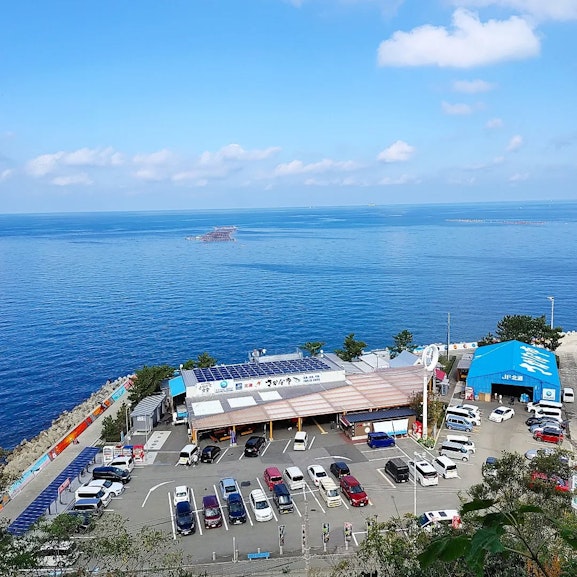 JF Kitanada Fish City