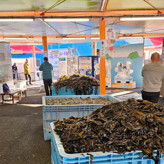 JF Kitanada Fish City