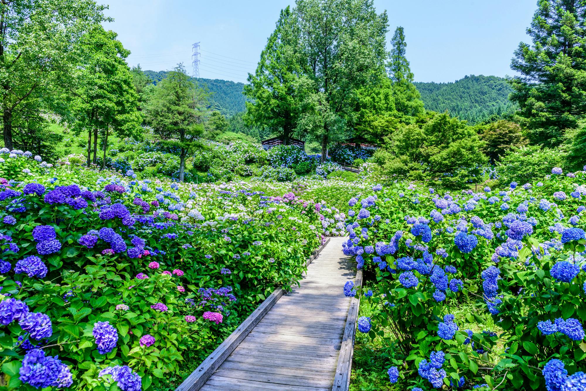 Maizuru Nature and Cultural Park