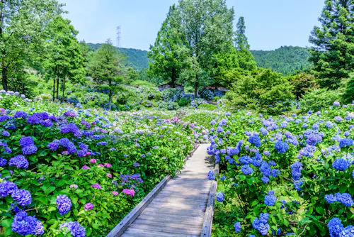 Maizuru Nature and Cultural Park