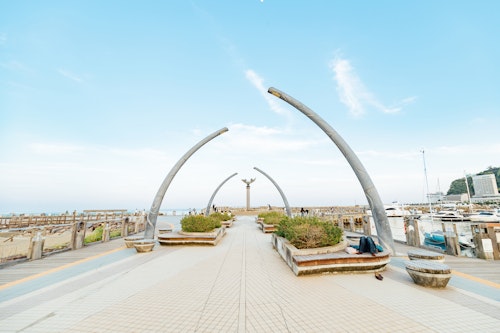 Moon Terrace (Shizuoka)