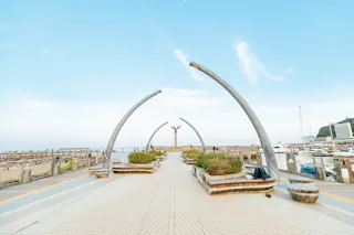 Moon Terrace (Shizuoka)