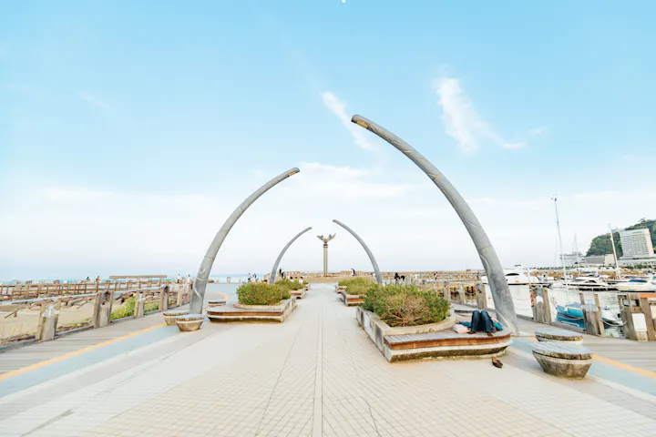 Moon Terrace (Shizuoka)