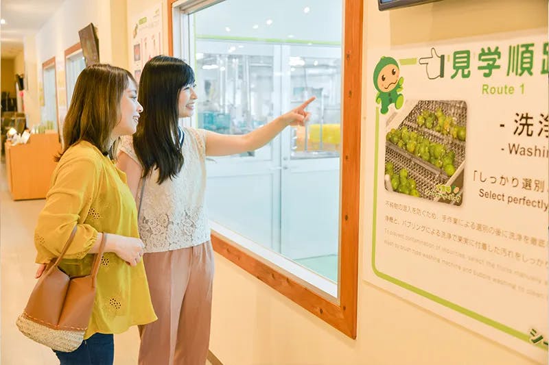 Ogimi Shikuwasa Park