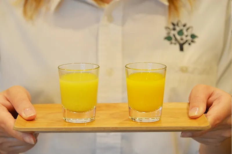 Ogimi Shikuwasa Park