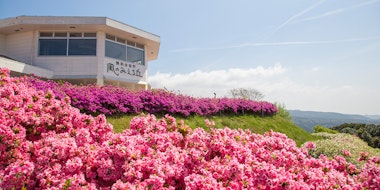 Road Station Kirishima Mythical Village Park
