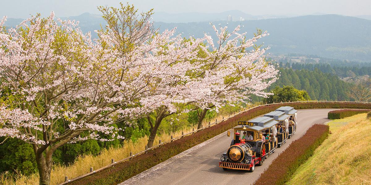 Road Station Kirishima Mythical Village Park