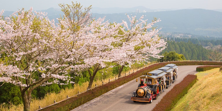 Road Station Kirishima Mythical Village Park