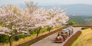 Road Station Kirishima Mythical Village Park
