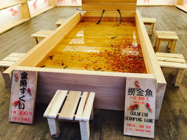Asakusa Kingyo