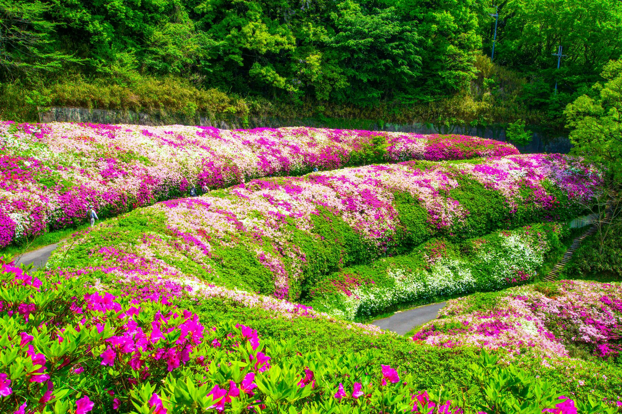 Fumin no Mori Narukawa Garden