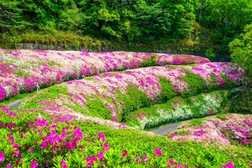 Fumin no Mori Narukawa Garden