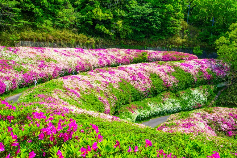 Fumin no Mori Narukawa Garden