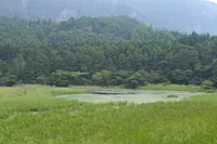 Yui Pond