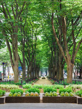 Jozenji-dori Avenue