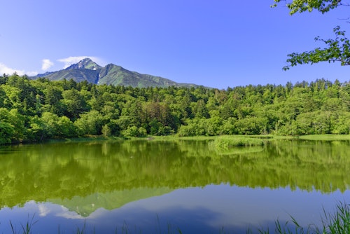 Himenuma (Hime Pond)