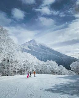 Hoshino Resorts Nekoma Ski Resort