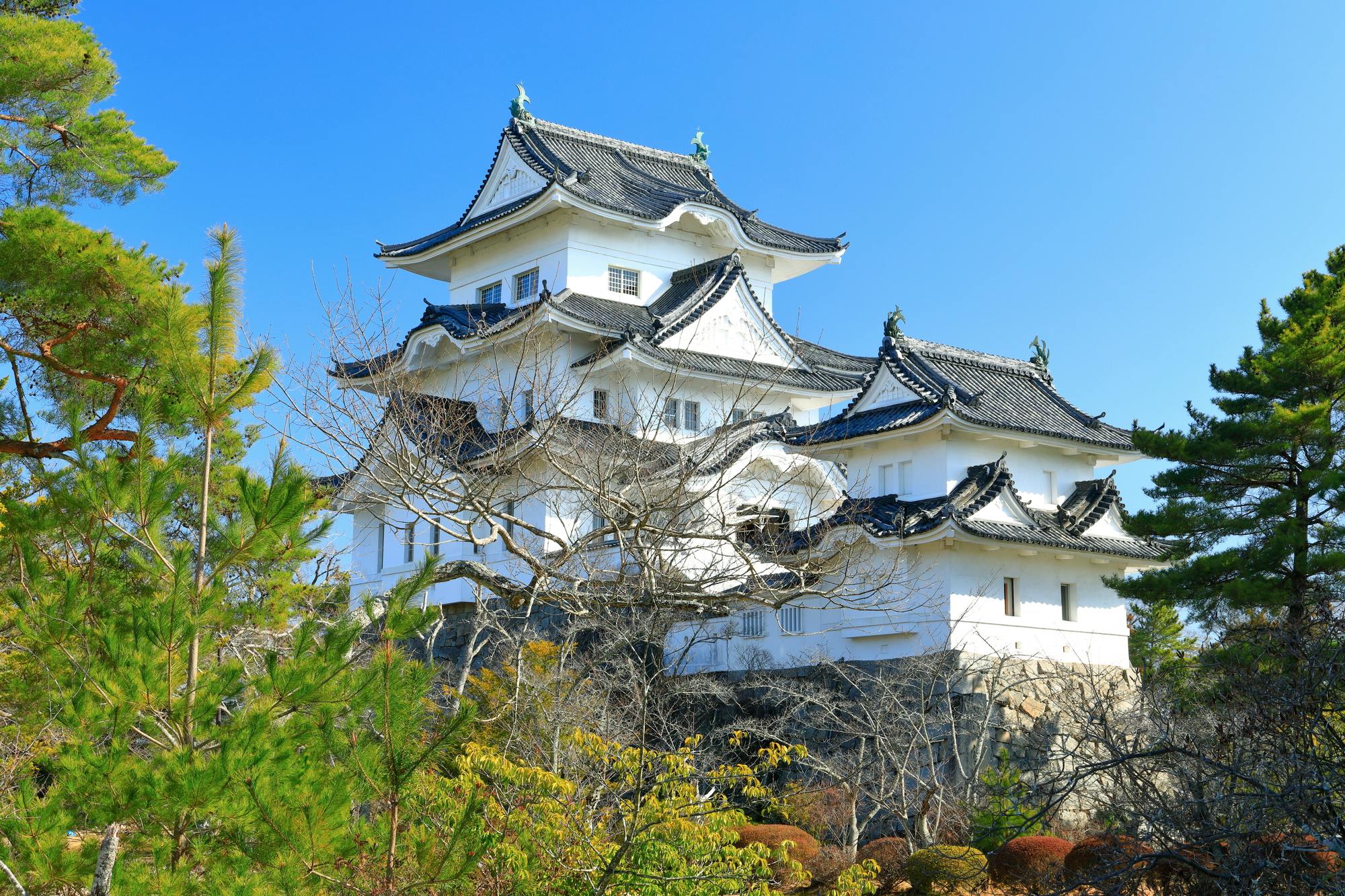 Iga Ueno Castle