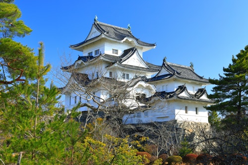 Iga Ueno Castle