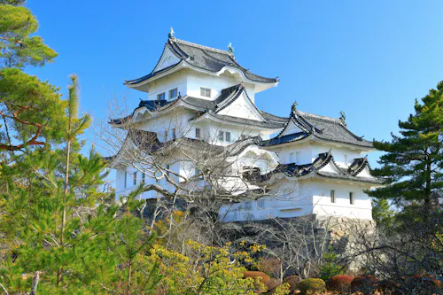 Iga Ueno Castle