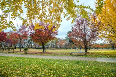 Kajo Park
