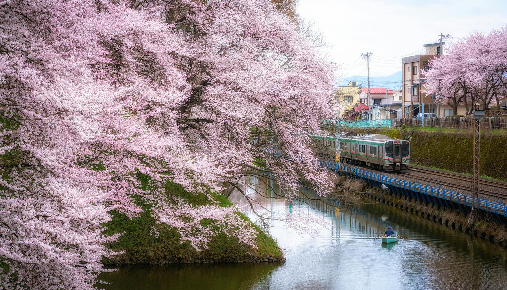 Kajo Park