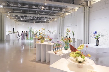 Kanaz Forest of Creation